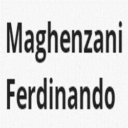 Maghenzani Ferdinando, San Secondo Parmense orari di apertura