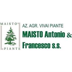 Vivai Maisto Antonio e Francesco, Melito di Napoli orari di apertura