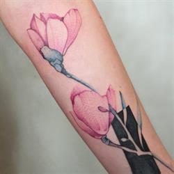 Malusi Tattoo Atelier, Cervia orari di apertura