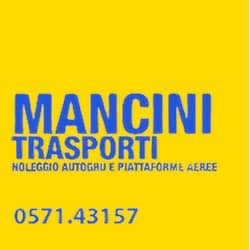 Mancini Trasporti Sollevamenti e Autogru', San Miniato Basso orari di apertura
