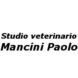 Studio Veterinario Dr. Paolo Mancini, Bucine orari di apertura
