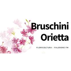 Garden Orietta e Graziella, Falerone orari di apertura
