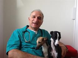 Marangon Mario (Dr.), Zero Branco orari di apertura
