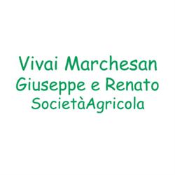 Vivaio Marchesan Giuseppe e Renato, Loria orari di apertura