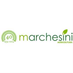 Marchesini, San Martino Buon Albergo orari di apertura