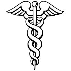 Prof. Francesco Marcucci Medico Specialista in Pediatria e Allergologia, Perugia orari di apertura