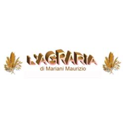 L'Agraria Maurizio Mariani dal 1926, Pratovecchio orari di apertura