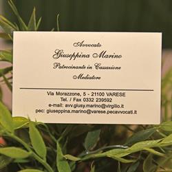 Avvocato Marino Giuseppina, Varese orari di apertura