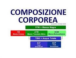 Mascaretti SRL, Ancona orari di apertura