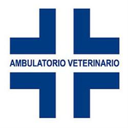 Masotti Dott. Angelo - Veterinario, Milano orari di apertura