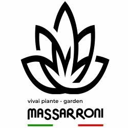 Vivai Massarroni, Perugia orari di apertura