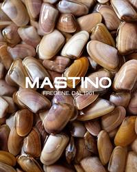 Mastino, Fregene orari di apertura