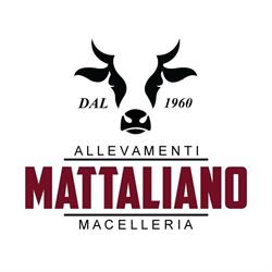 Mattaliano Stefano, Palermo orari di apertura