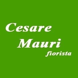 Mauri Cesare Fiorista, Airuno orari di apertura
