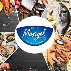 Maxigel srl, Torbole Casaglia orari di apertura