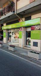 Mazza S.r.l, Cosenza orari di apertura
