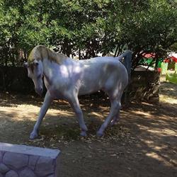 Scuola D'Infanzia Dalla Parte Dei Bambini, Livorno orari di apertura