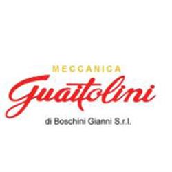Meccanica Guaitolini di Boschini Gianni S.r.l., Novellara orari di apertura