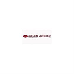 Melesi Angelo Snc di Melesi Silvano & C, Cortenova orari di apertura