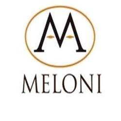 Meloni "I Negozi Meloni", Lanusei orari di apertura