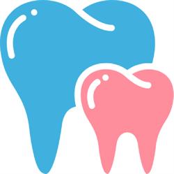 Studio Dentistico Dott. Alessandro Menchi, Arezzo orari di apertura