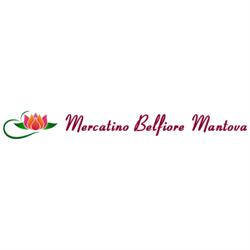 Mercatino Usato Accorsi Rosa Belfiore, Mantova orari di apertura