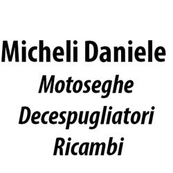 Micheli Daniele Motoseghe - Decespugliatori - Ricambi, Torniella orari di apertura