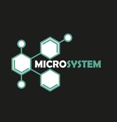 Microsystem SRL, Casoria orari di apertura