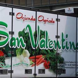 Azienda Agricola San Valentino di Migliaro Aniello, San Valentino Torio orari di apertura