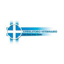 Ambulatorio Veterinario Dr.ssa Maria Teresa Miletto, Moncalieri orari di apertura