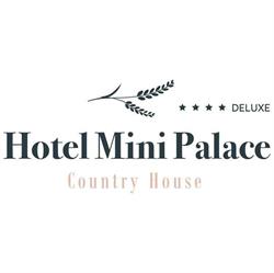 Mini Palace, Molinella orari di apertura
