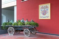 Miotto Lodovico, Salgareda orari di apertura