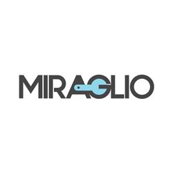 Miraglio Officina e Noleggio, Torre San Giorgio orari di apertura