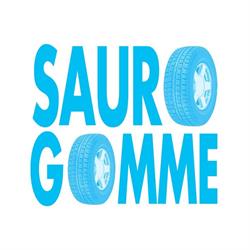 Sauro Gomme Pneumatici, Potenza Picena orari di apertura