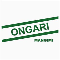 Mangimi Ongari S.r.l., Motteggiana orari di apertura
