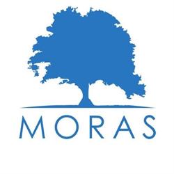 Molino Moras SRL, Trivignano Udinese orari di apertura