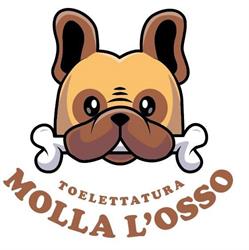 Molla L'osso S.a.s., Omegna orari di apertura