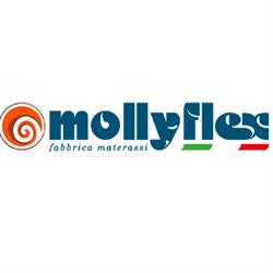 Mollyflex SRL, Castiglione delle Stiviere orari di apertura