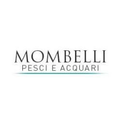 Acquari Mombelli, Chiari orari di apertura