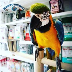 Mondo Animali, Benevento orari di apertura