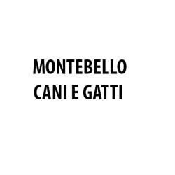 Montebello Cani e Gatti, Parma orari di apertura
