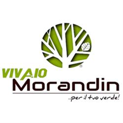 Vivaio Morandin, Camponogara orari di apertura