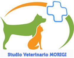 Morigi Claudio (Dr.) Ravenna, Marina Di Ravenna - Orari di apertura
