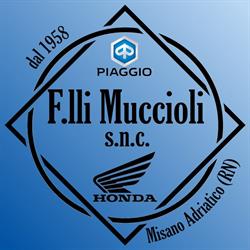 Muccioli & Co. Di Loris e Alberto s.n.c., Misano Adriatico orari di apertura