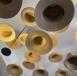 Museo Della Paglia E Dell'Intreccio Domenico Michelacci, Signa orari di apertura