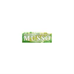 Officina Meccanica Musso, Poirino orari di apertura