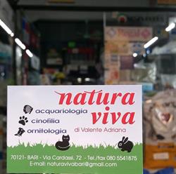 Natura Viva Di Valente Adriana, Bari orari di apertura