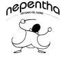 Nepentha Potenza, Betlemme - Orari di apertura