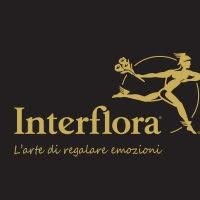 Nido Dei Fiori di Garramone Anna Maria, Potenza orari di apertura