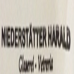 Niederstaetter Harald, Bolzano orari di apertura